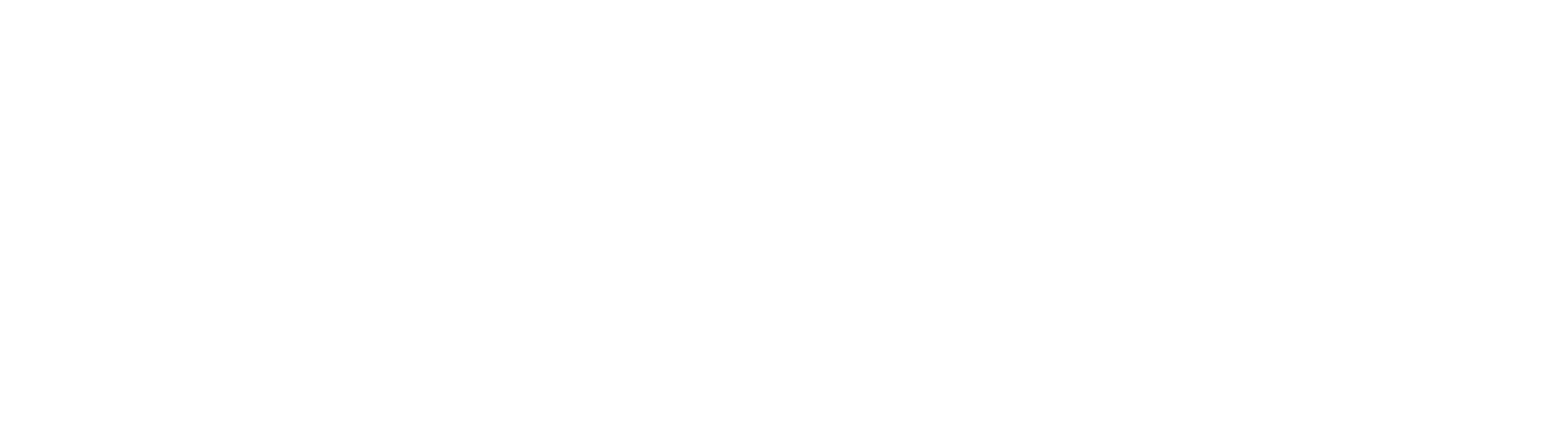 WOLBRG Logo Weiss